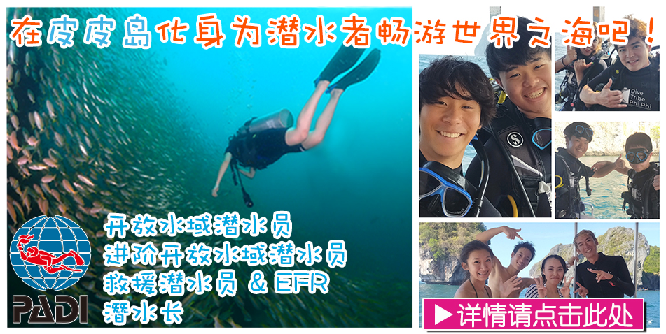 皮皮岛潜水专营店 中国籍教练 会话中文 潜水专用船 初次体验者也能放心参加！体验潜水半日船游/欢乐潜水/PADI潜水证课程/